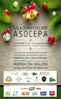 Gala de Navidad_resumen-01