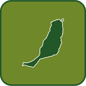 Establecimientos Colaboradores en Fuerteventura