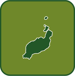 Establecimientos Colaboradores en Lanzarote