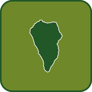 Establecimientos Colaboradores en La Palma