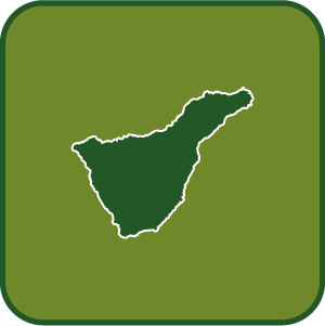 Establecimientos Colaboradores en Tenerife